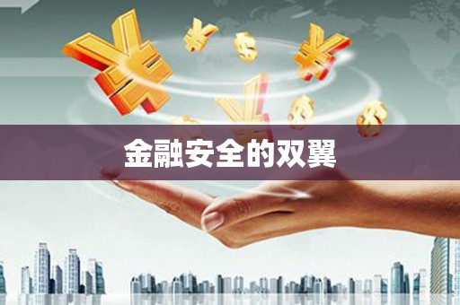 巩留金融安全的双翼