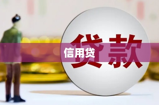芳苑信用贷