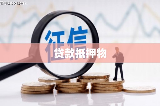 里港贷款抵押物