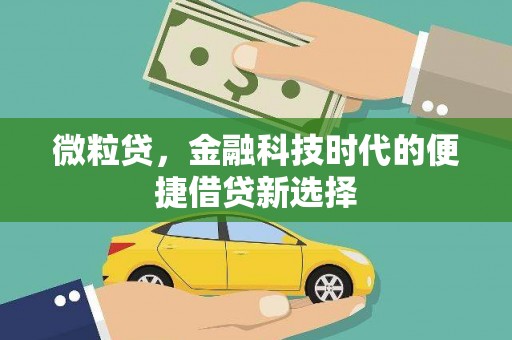 盘龙微粒贷，金融科技时代的便捷借贷新选择