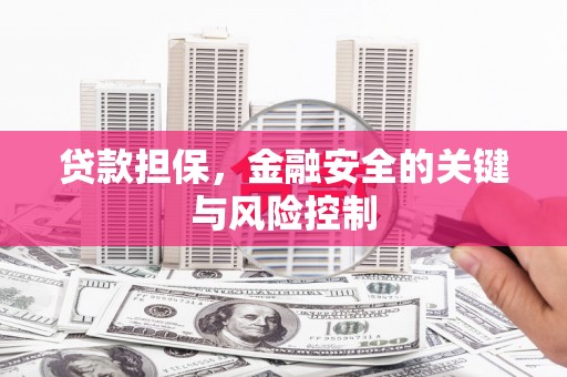 南康贷款担保，金融安全的关键与风险控制