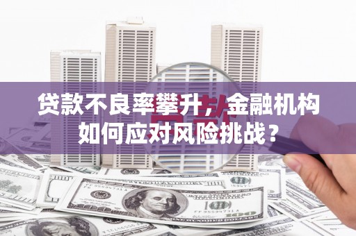 大邑贷款不良率攀升，金融机构如何应对风险挑战？
