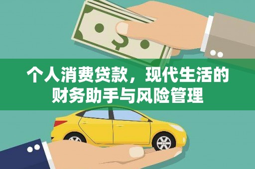 陵水个人消费贷款，现代生活的财务助手与风险管理