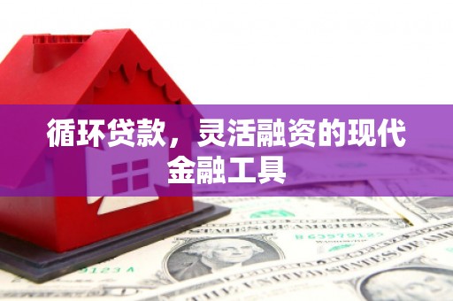 毕节循环贷款，灵活融资的现代金融工具