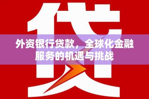 呼玛外资银行贷款，全球化金融服务的机遇与挑战
