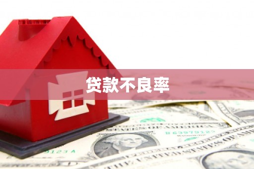 恭城贷款不良率
