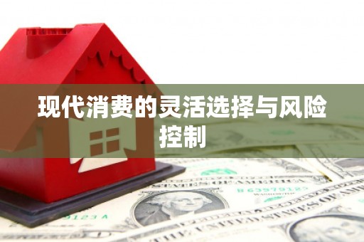 岐山现代消费的灵活选择与风险控制