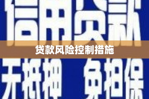中堂贷款风险控制措施