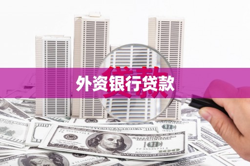 宁夏外资银行贷款