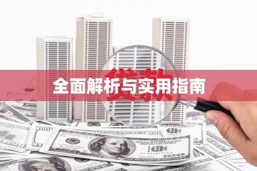 子洲全面解析与实用指南