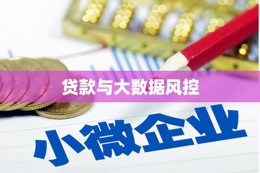 东阿贷款与大数据风控