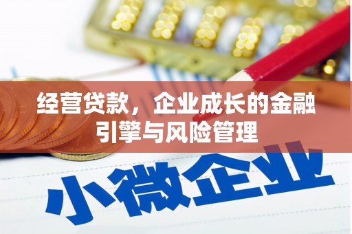 东明经营贷款，企业成长的金融引擎与风险管理