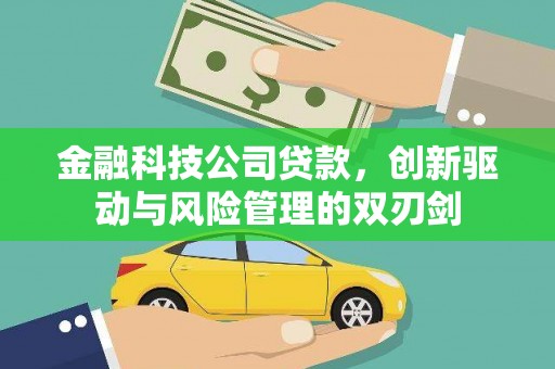三乡金融科技公司贷款，创新驱动与风险管理的双刃剑